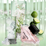 prada paradoxe senteursdeden