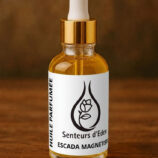 escada-magnetisme